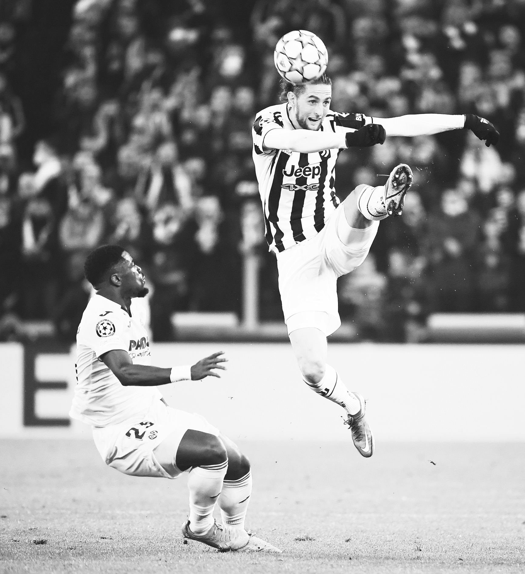 海豚队在传 海豚队在传